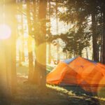 What are the five best things to have when camping in the woods